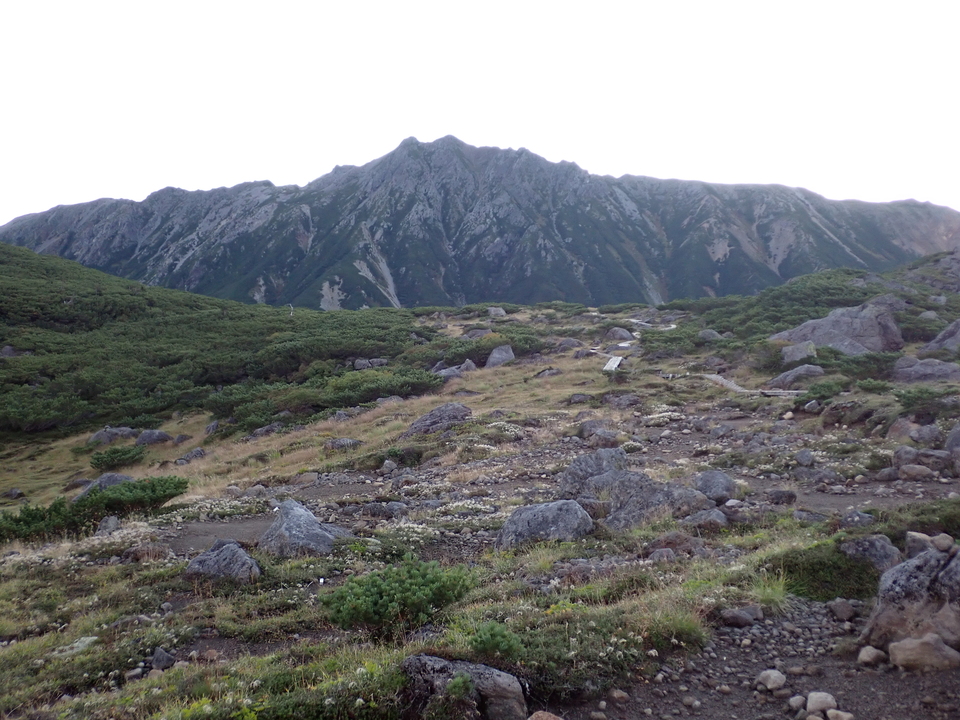 P9141092_mid.jpg