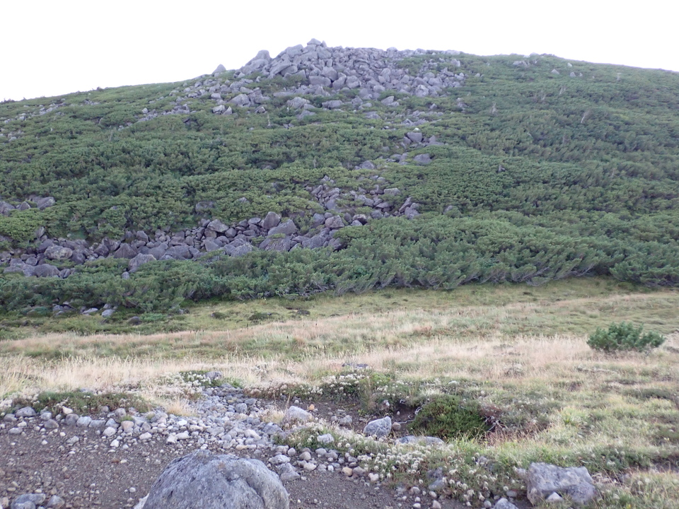 P9141093_mid.jpg