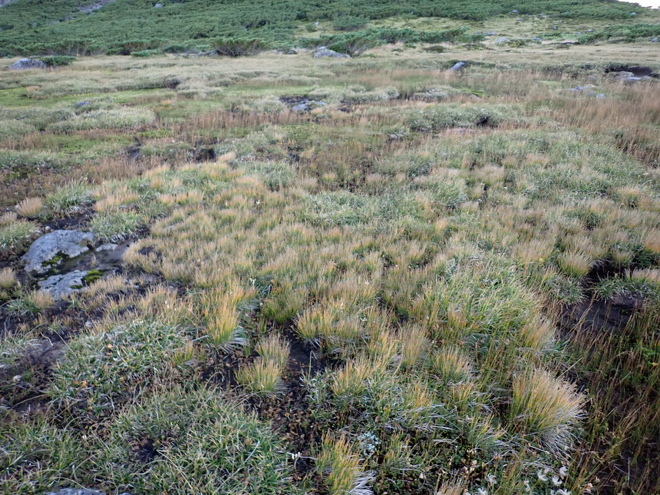 P9141101_mid.jpg