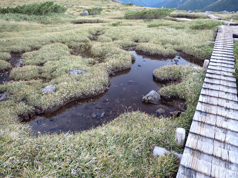 P9141104_mid.jpg