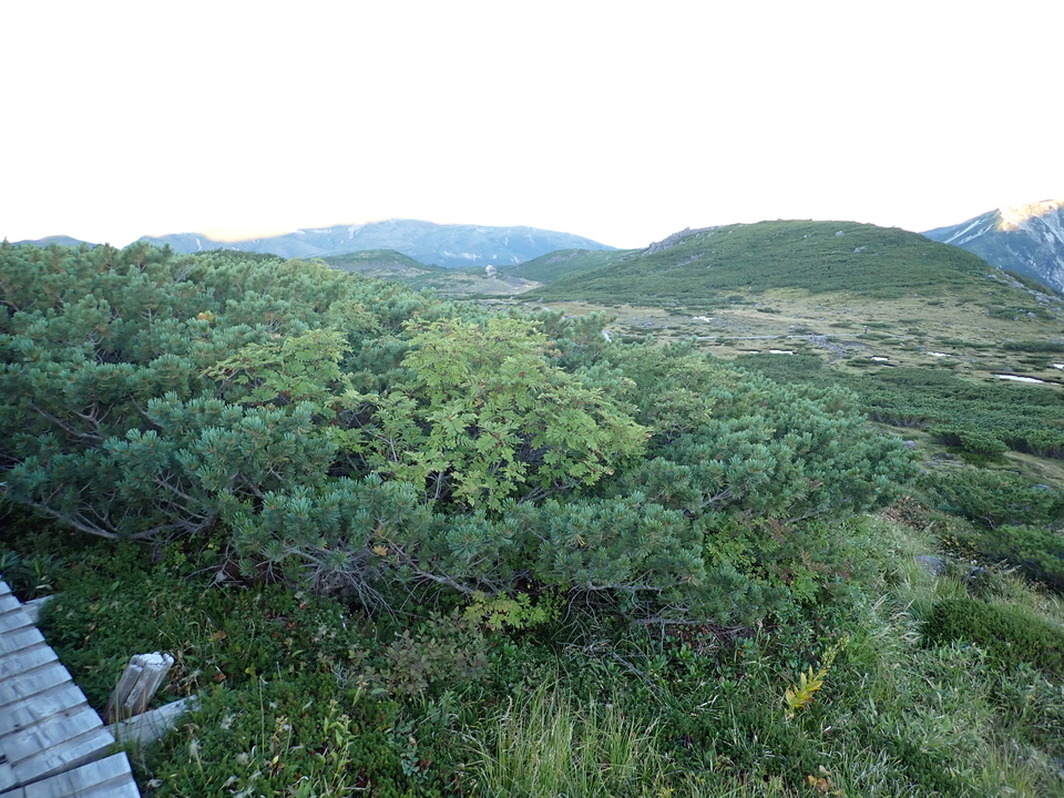 P9141122_mid.jpg