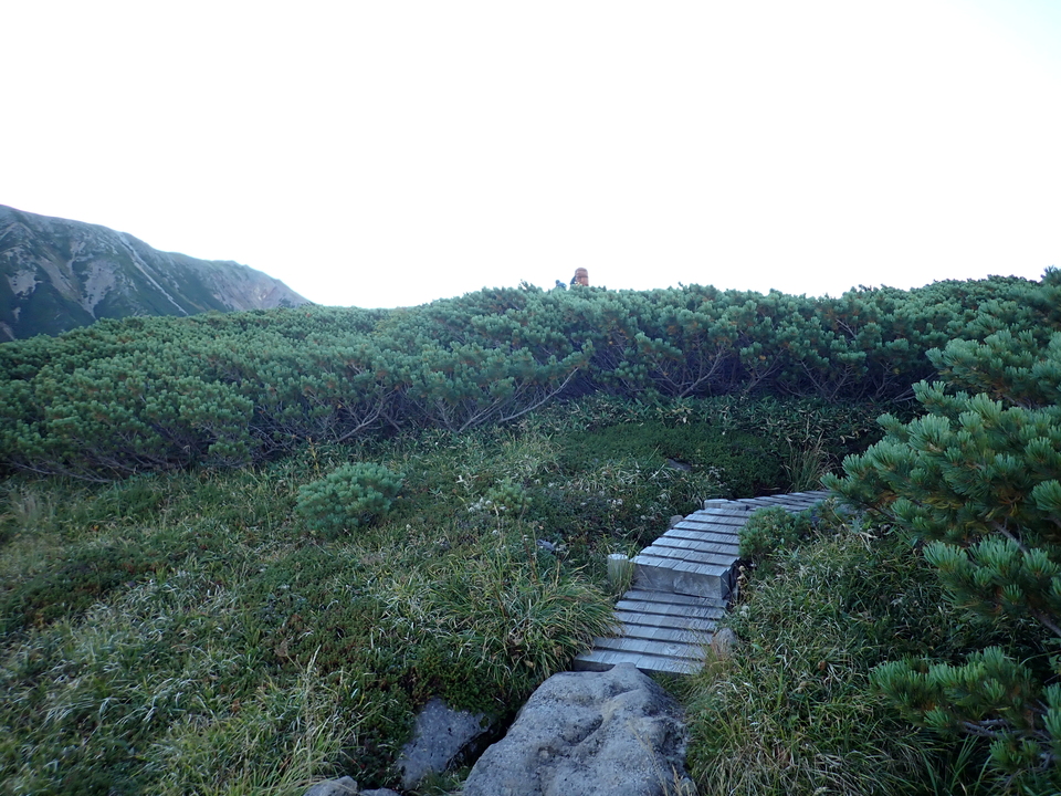P9141124_mid.jpg