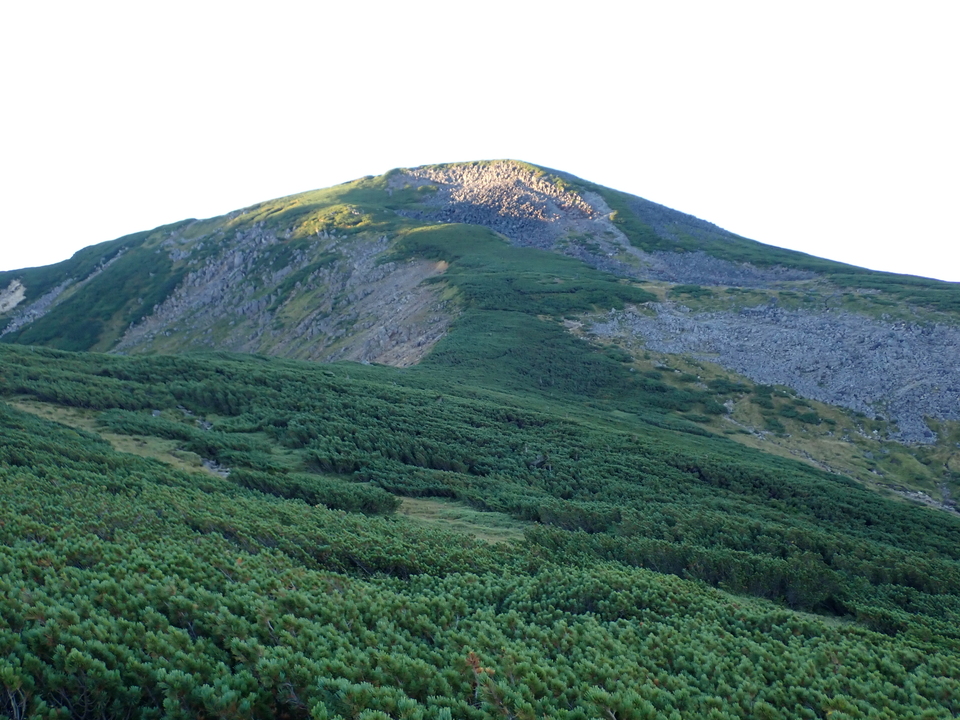 P9141128_mid.jpg