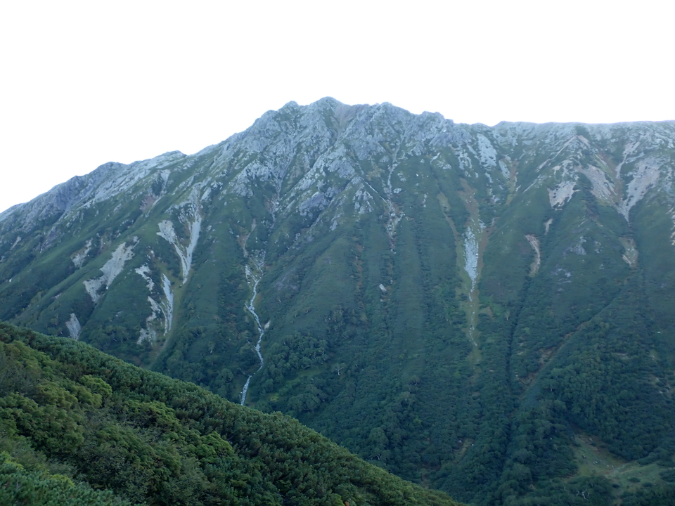 P9141133_mid.jpg