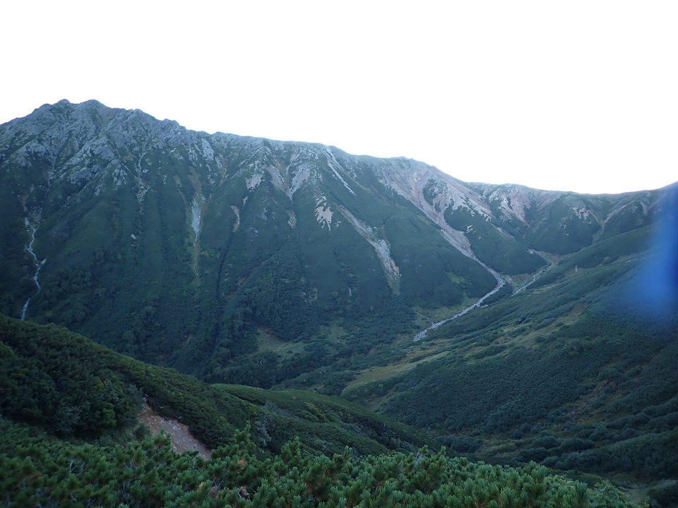 P9141134_mid.jpg