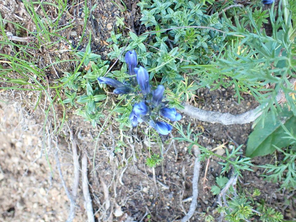 P9141138_mid.jpg
