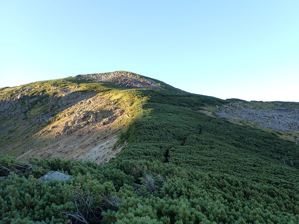 P9141142_mid.jpg