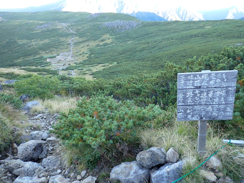 P9141145_mid.jpg