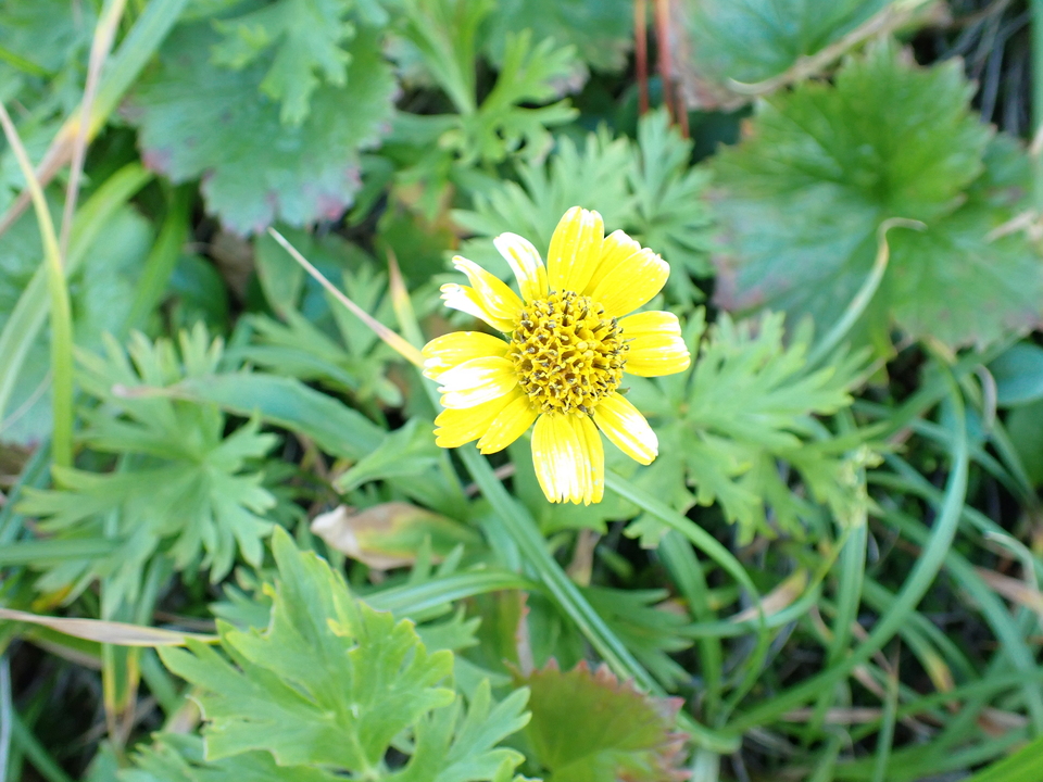 P9141152_mid.jpg