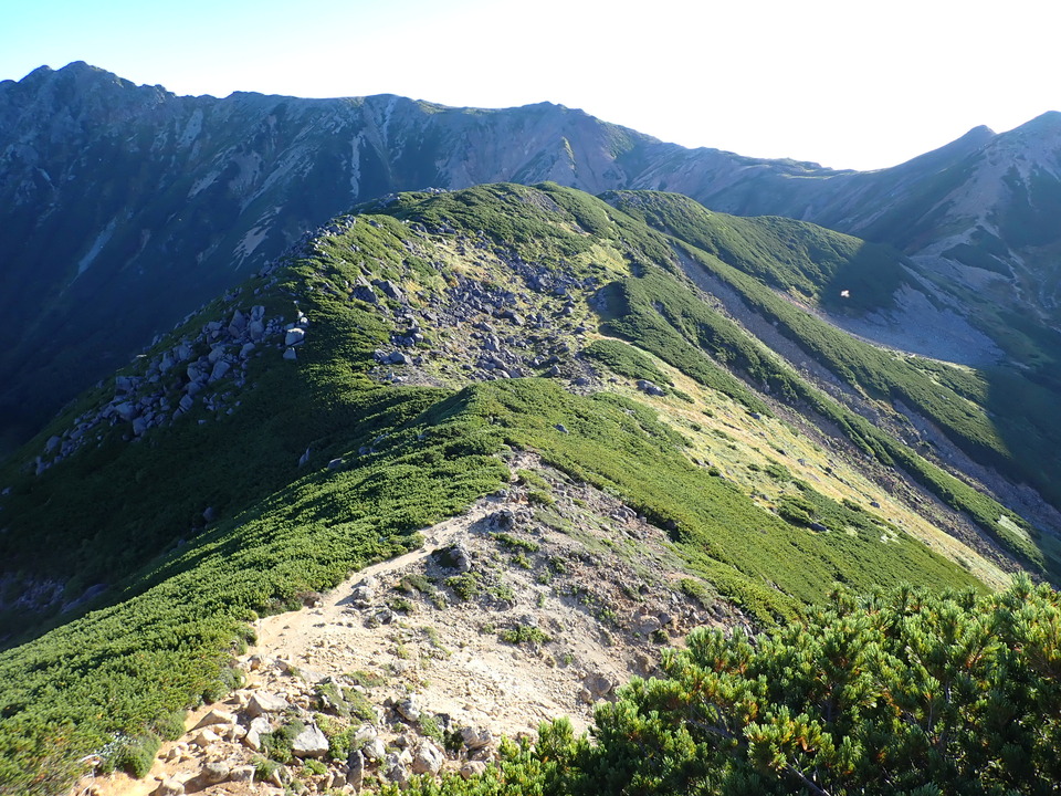 P9141154_mid.jpg