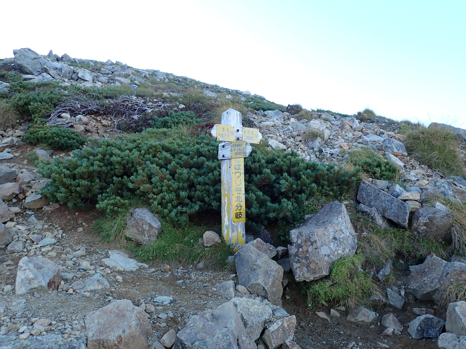 P9141167_mid.jpg