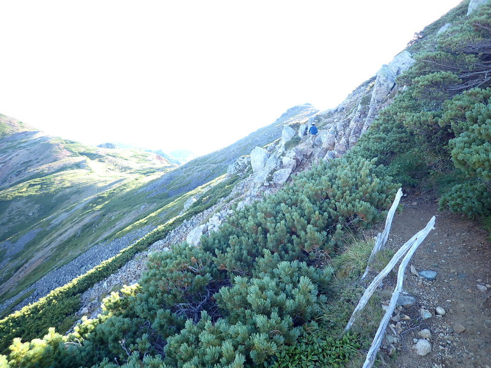 P9141175_mid.jpg