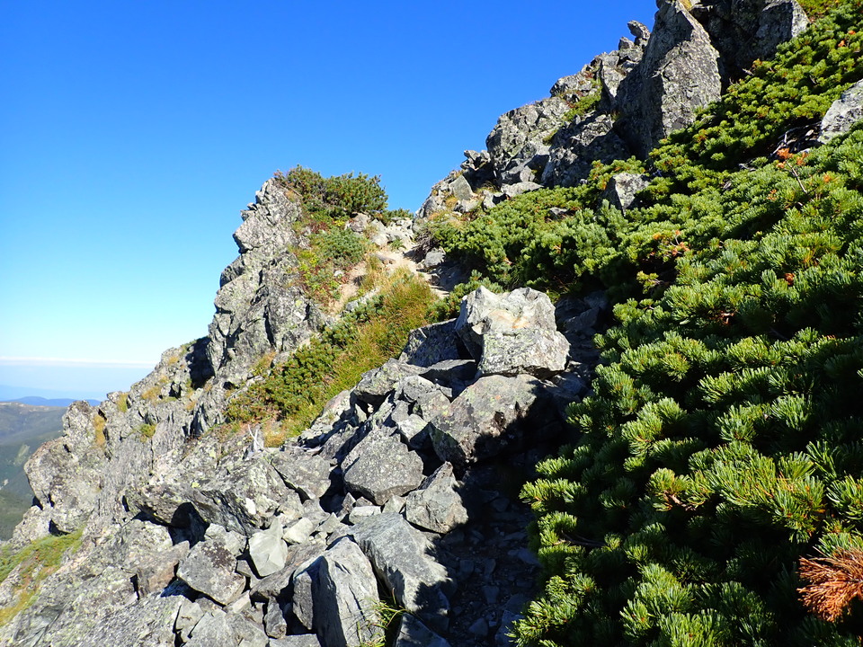 P9141185_mid.jpg
