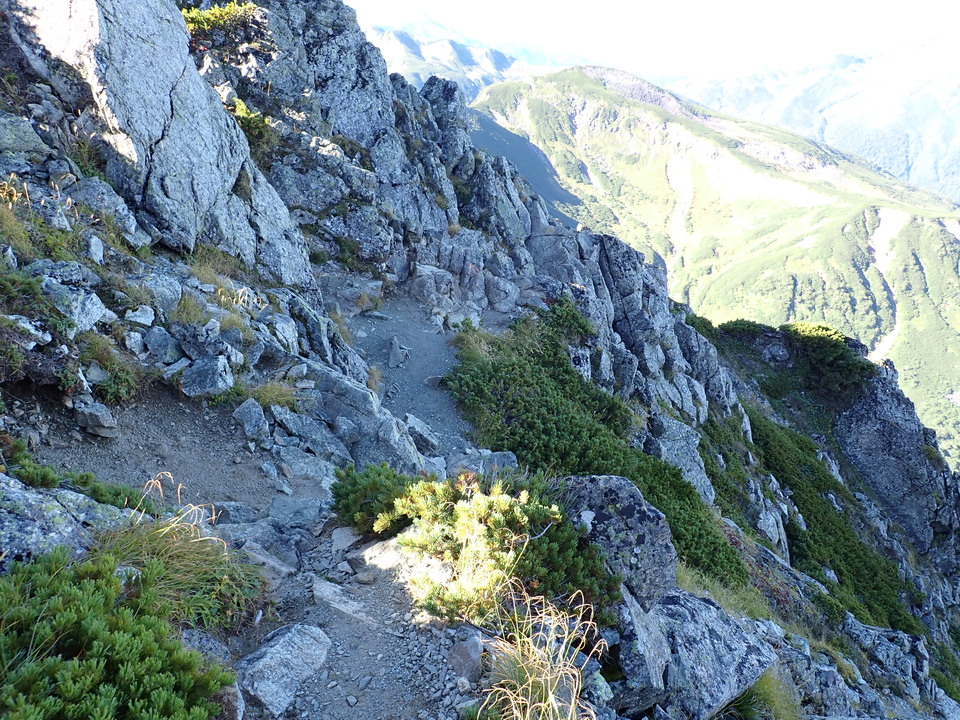 P9141192_mid.jpg