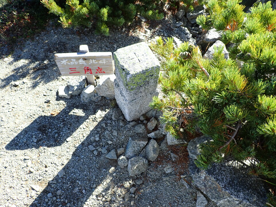 P9141195_mid.jpg