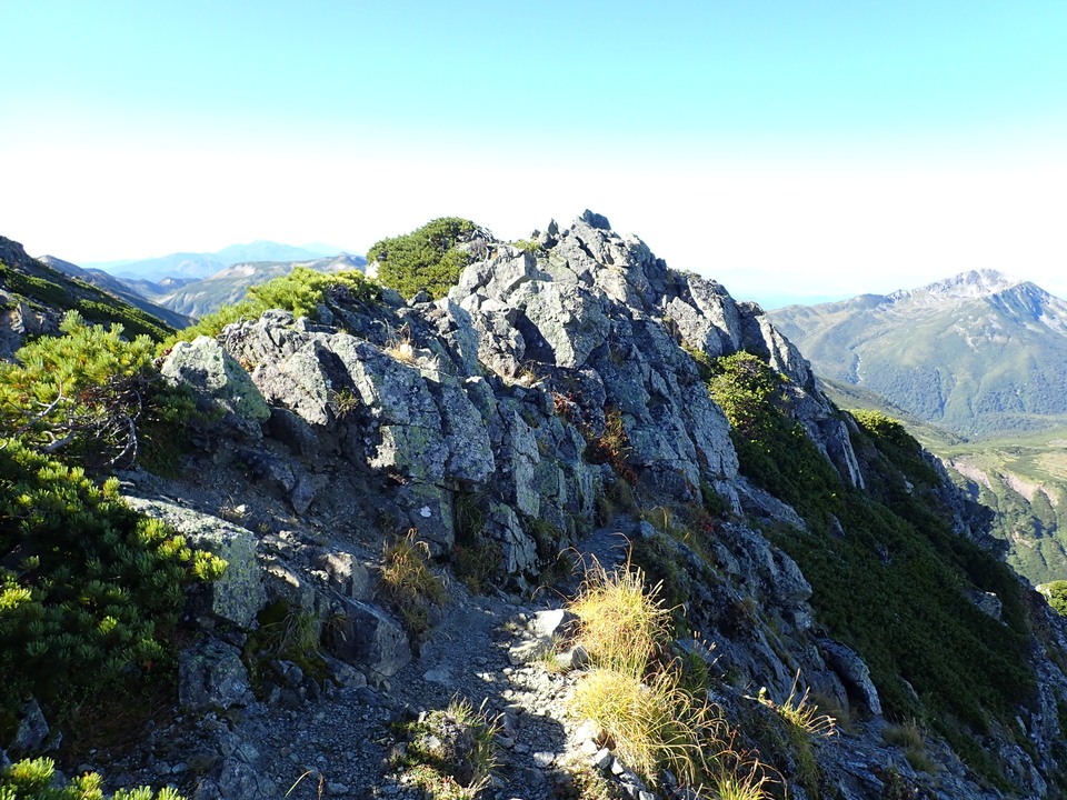P9141197_mid.jpg