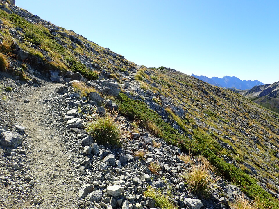 P9141212_mid.jpg