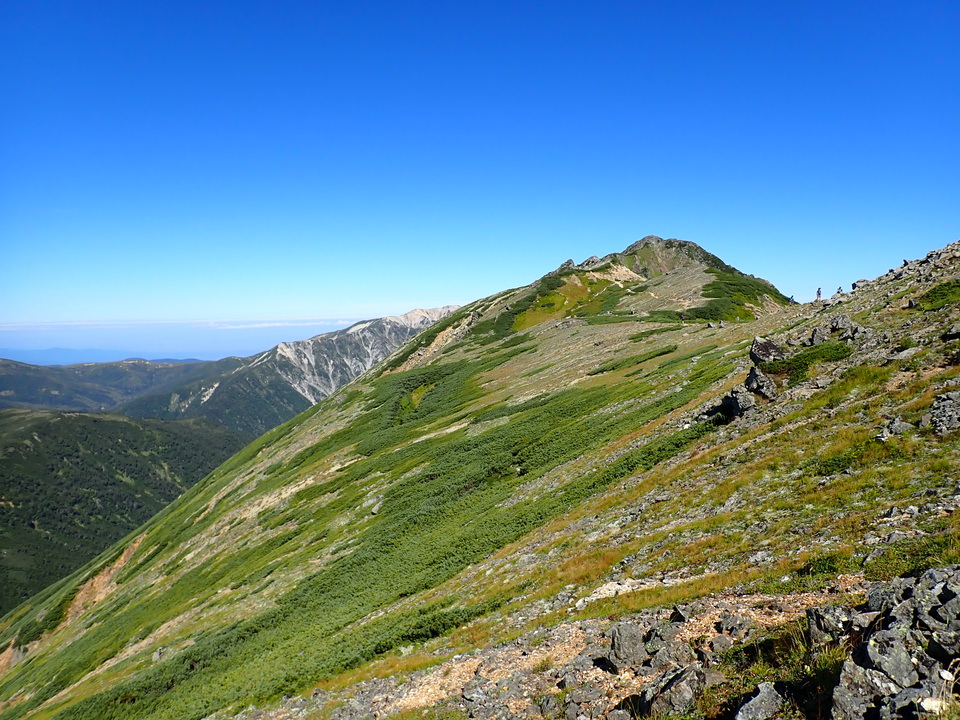 P9141225_mid.jpg