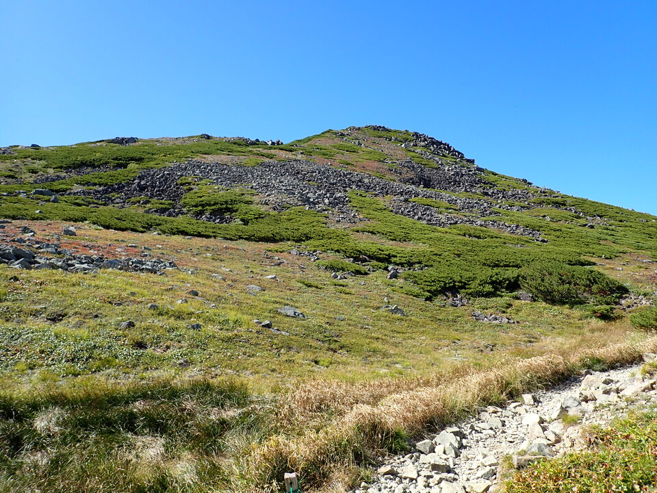 P9141226_mid.jpg