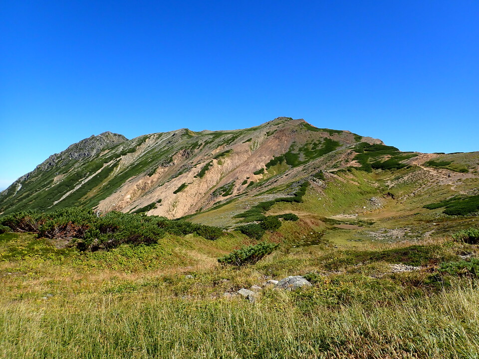 P9141227_mid.jpg