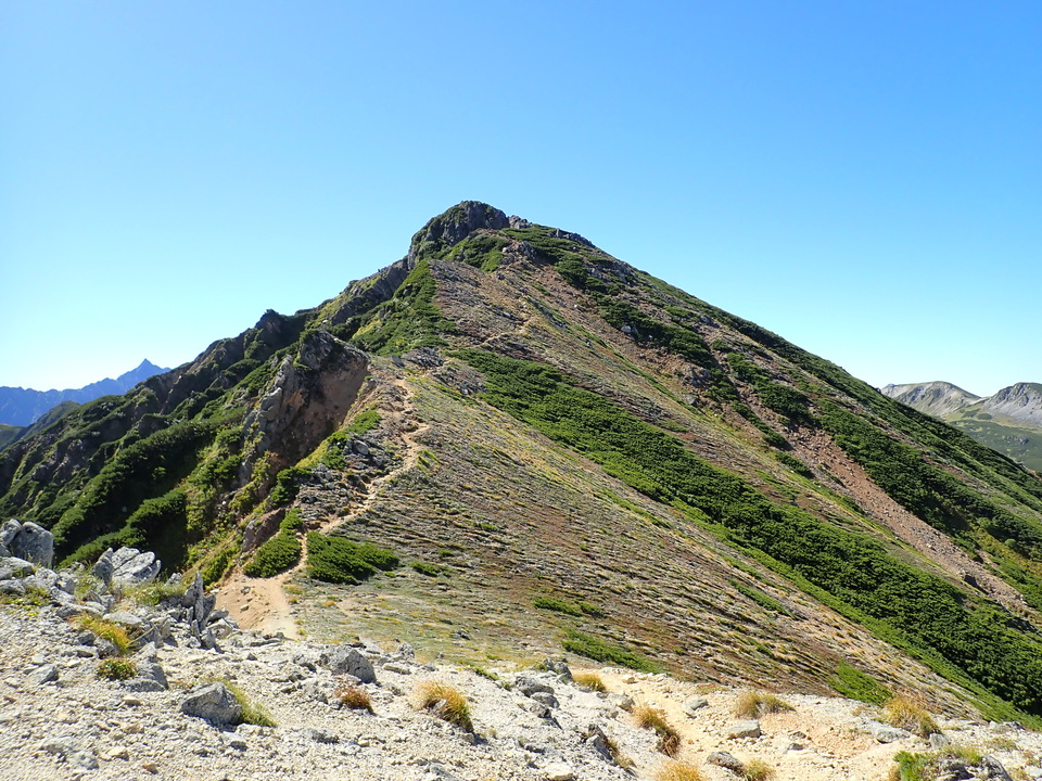 P9141233_mid.jpg