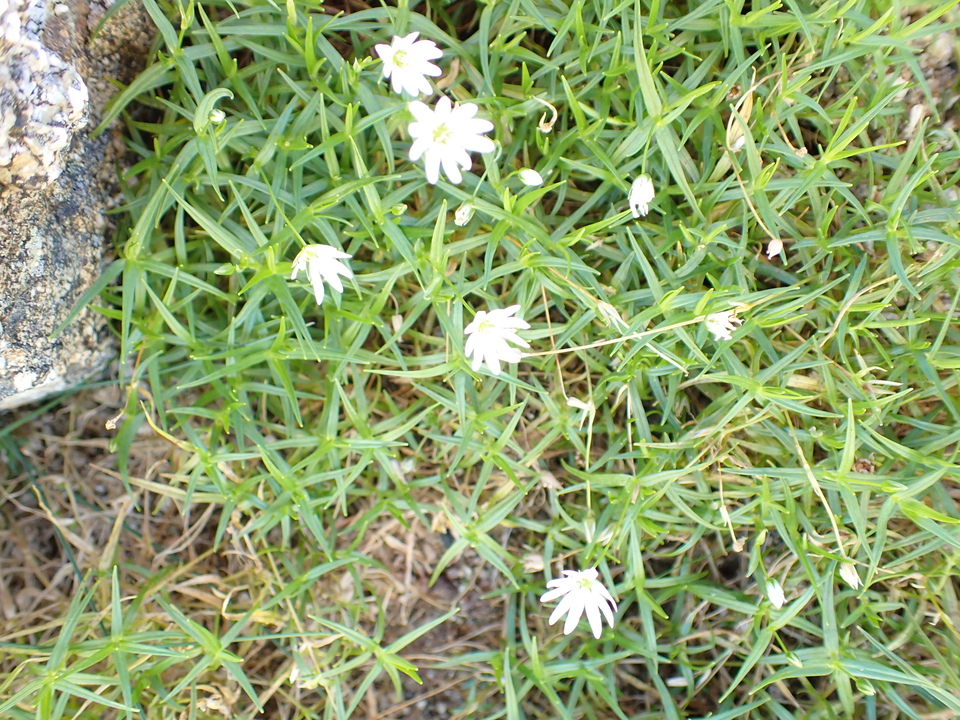 P9141238_mid.jpg