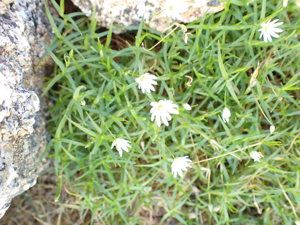 P9141239_mid.jpg