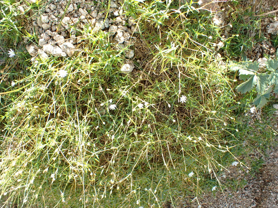 P9141241_mid.jpg