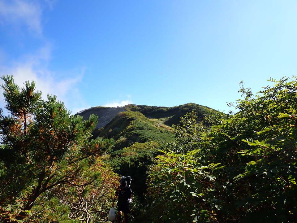 P9141256_mid.jpg