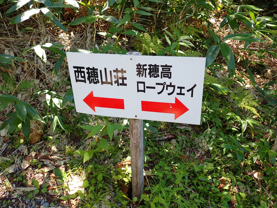 P9151269_mid.jpg