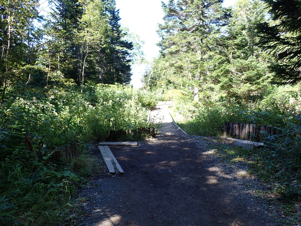 P9151270_mid.jpg