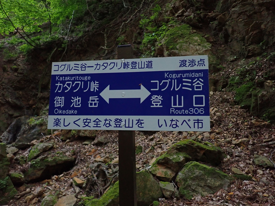 P5162718_mid.jpg