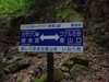 P5162718_thumb.png