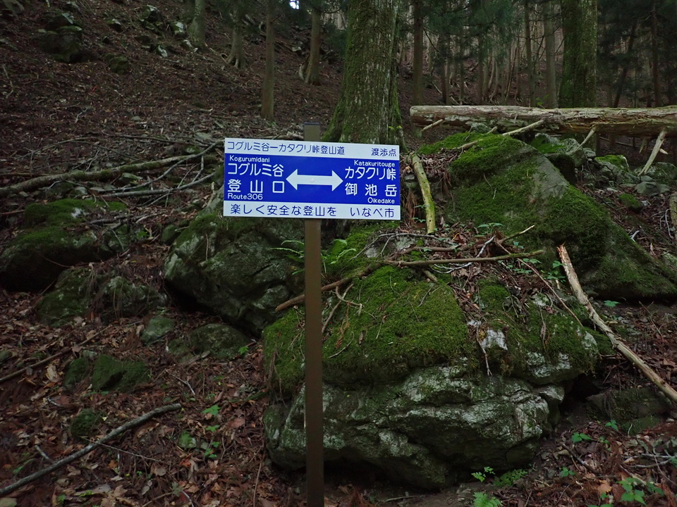 P5162720_mid.jpg