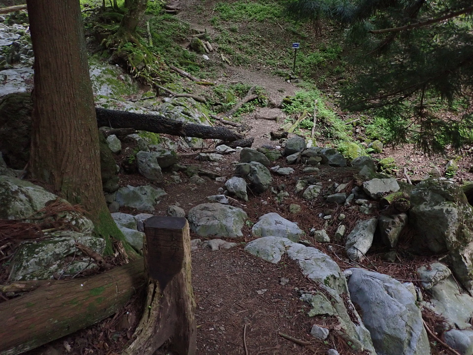 P5162723_mid.jpg