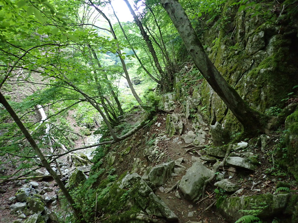 P5162727_mid.jpg
