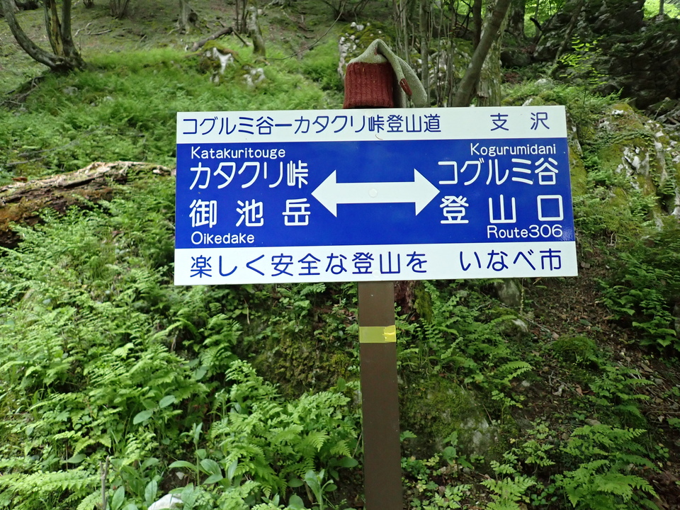 P5162731_mid.jpg