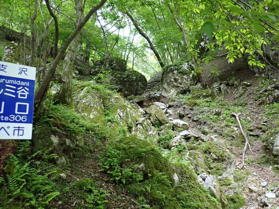 P5162732_mid.jpg