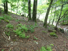 P5162737_thumb.png