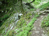 P5162739_thumb.png