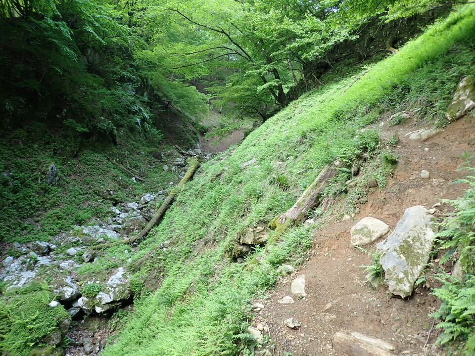 P5162740_mid.jpg