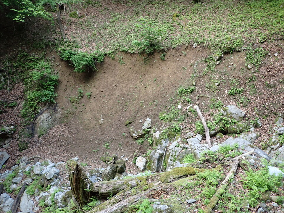 P5162746_mid.jpg