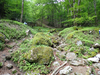 P5162756_thumb.png
