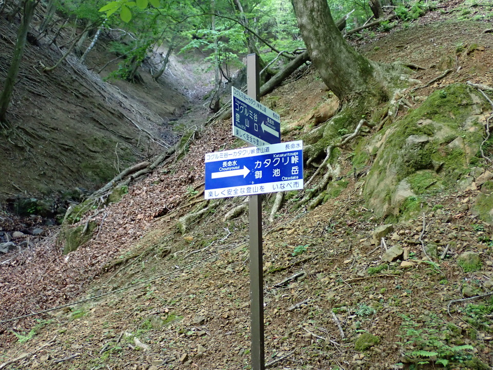 P5162760_mid.jpg