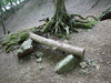 P5162762_thumb.png