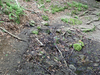 P5162764_thumb.png