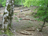 P5162768_thumb.png