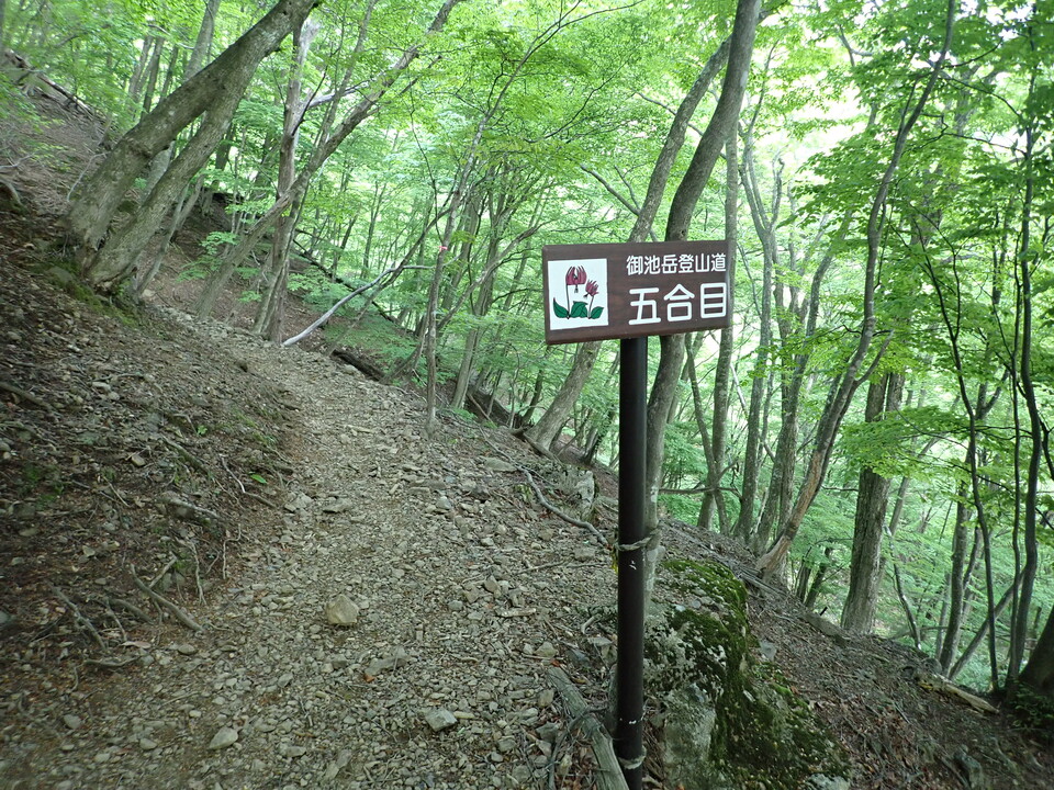 P5162774_mid.jpg