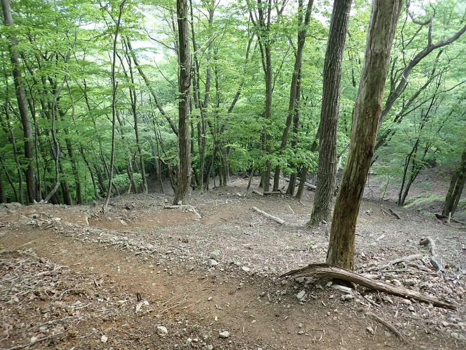 P5162780_mid.jpg
