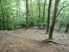 P5162780_thumb.png